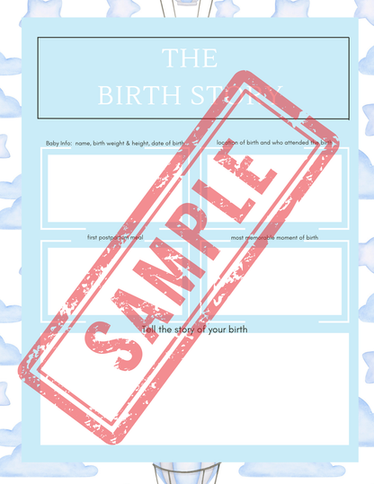 Birth Printable Planner - Blue