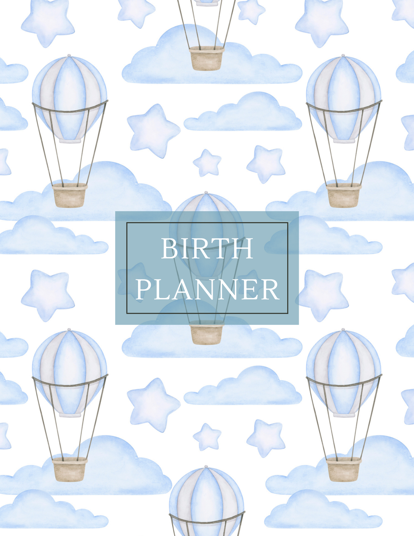 Birth Printable Planner - Blue