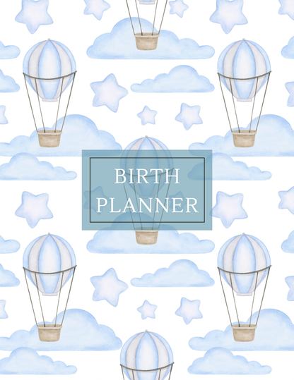 Birth Printable Planner - Blue